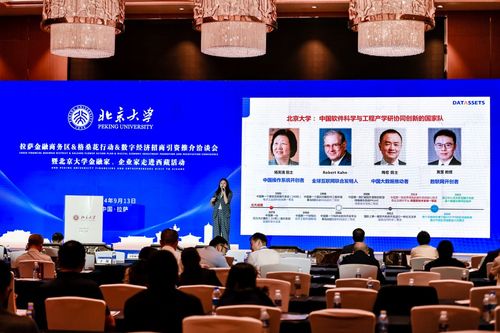 數字經濟新引擎 2024拉薩金融商務區格?；ㄐ袆诱猩桃Y洽談會啟航